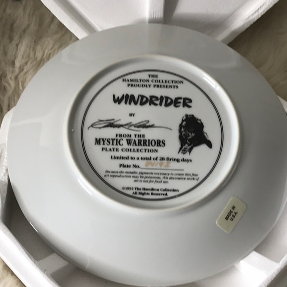 NEW 1992 The Hamilton Collection Mystic Warrior Windrider plate numbered CoA - Picture 4 of 8